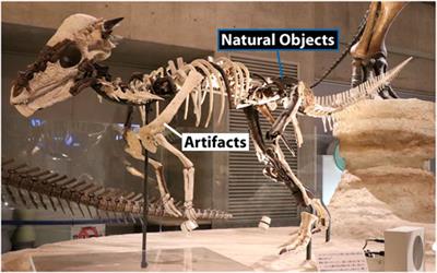 Museum Exhibitions of Fossil Specimens Into Commercial Products: Unexpected Outflow of 3D Models due to Unwritten Image Policies